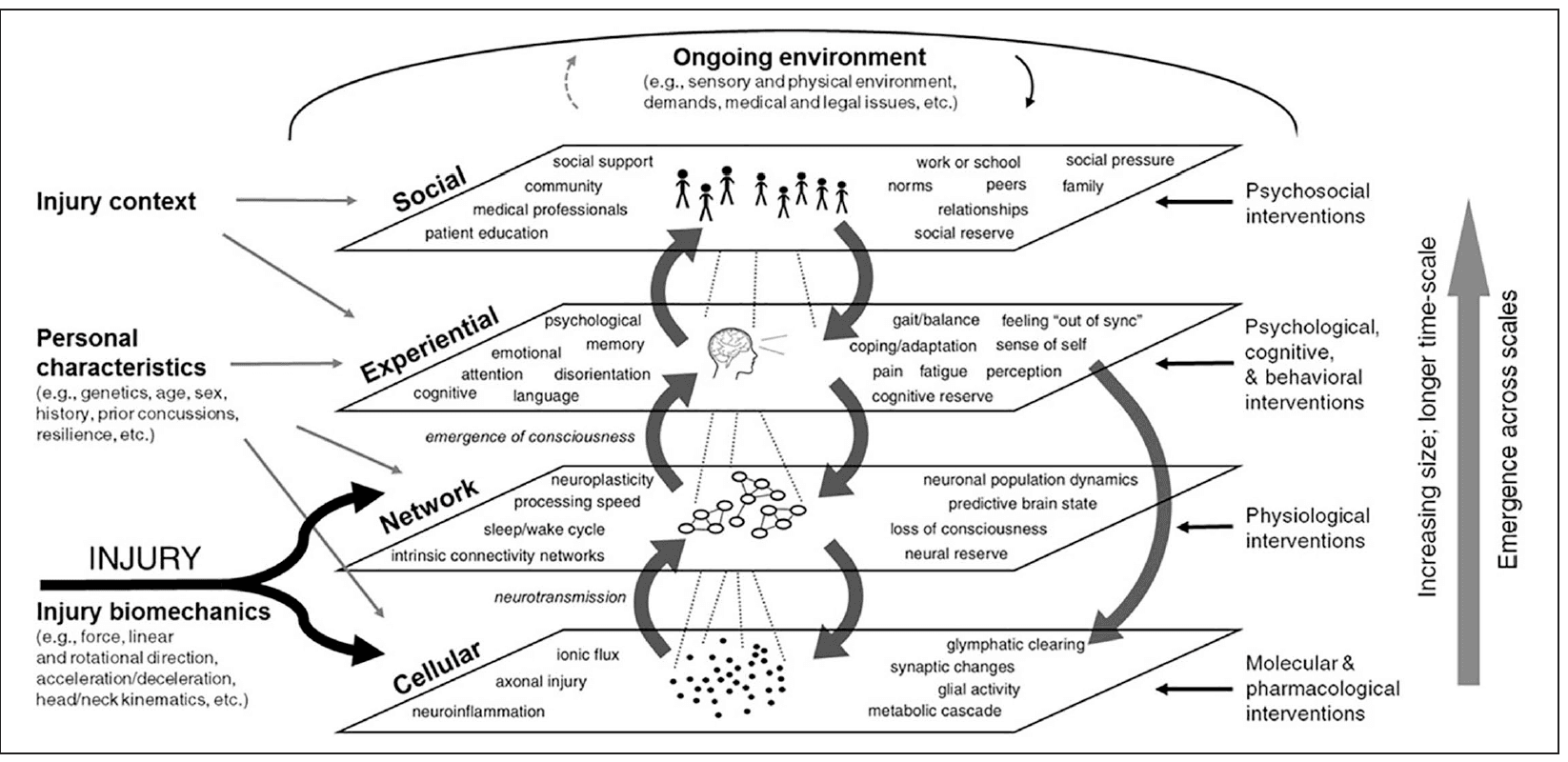 Complex System Model of PPCS