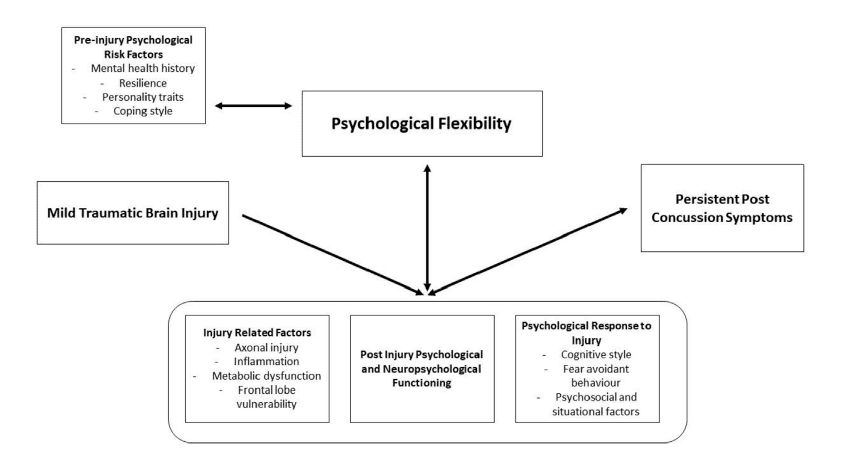Hypothetical Role