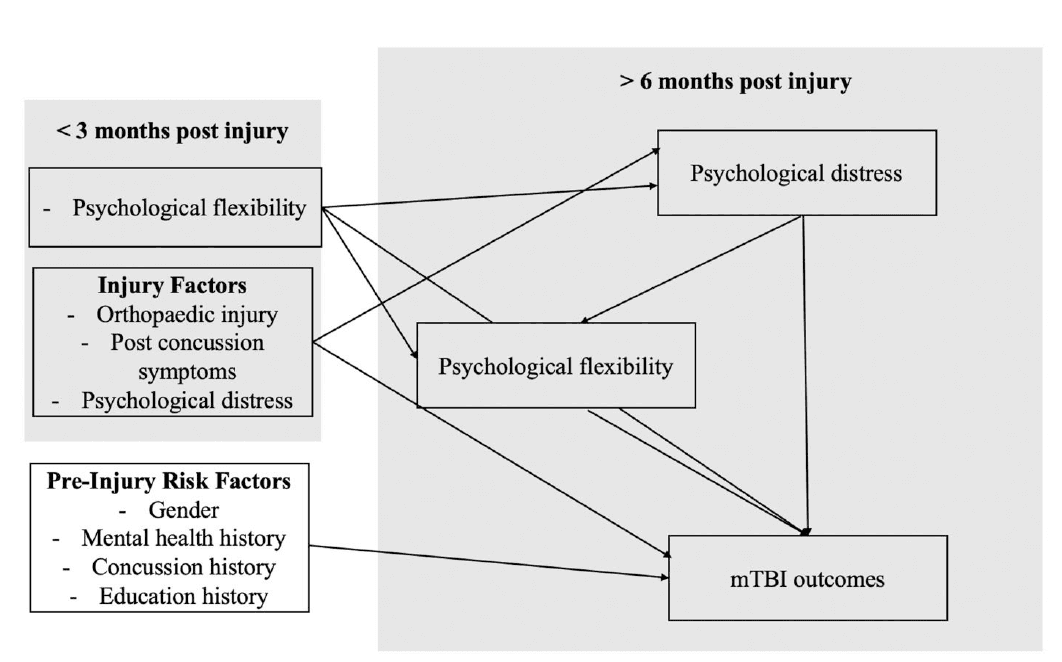 Predicted Persisting Symptoms
